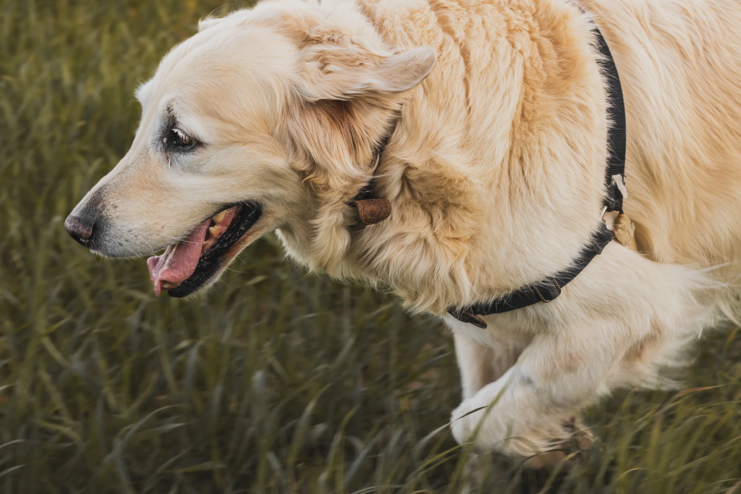 Moments authentiques et inoubliables