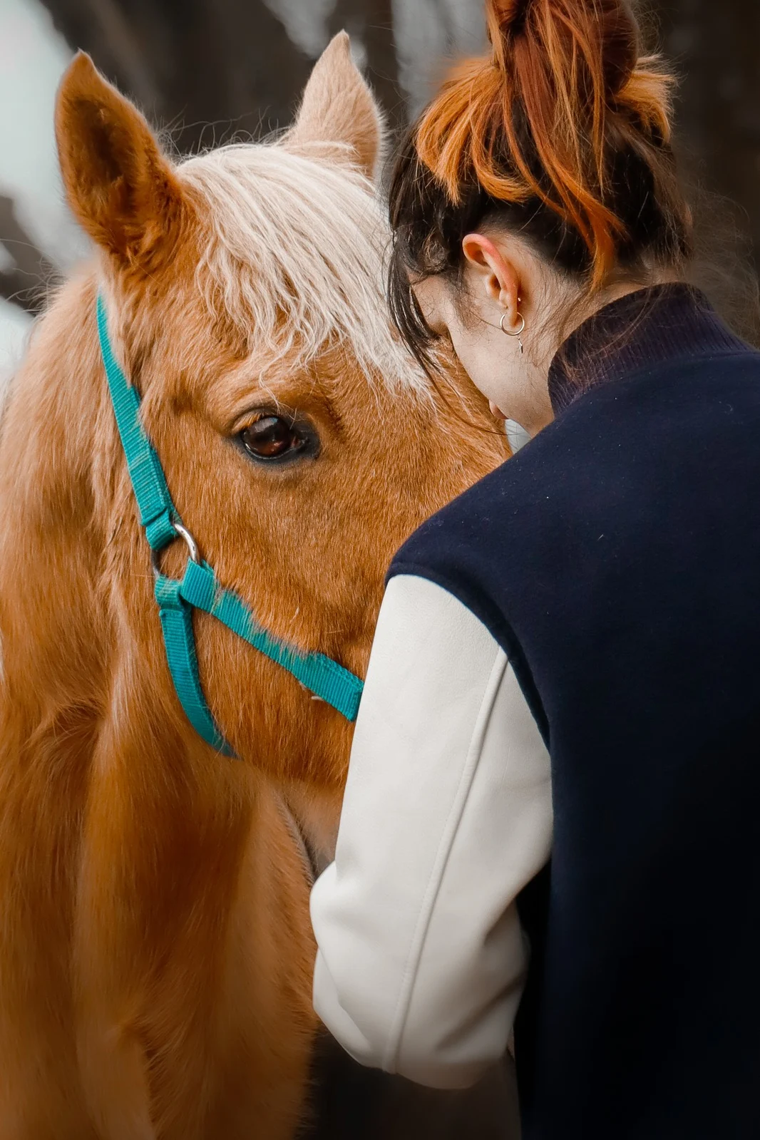 Séance photo avec cheval