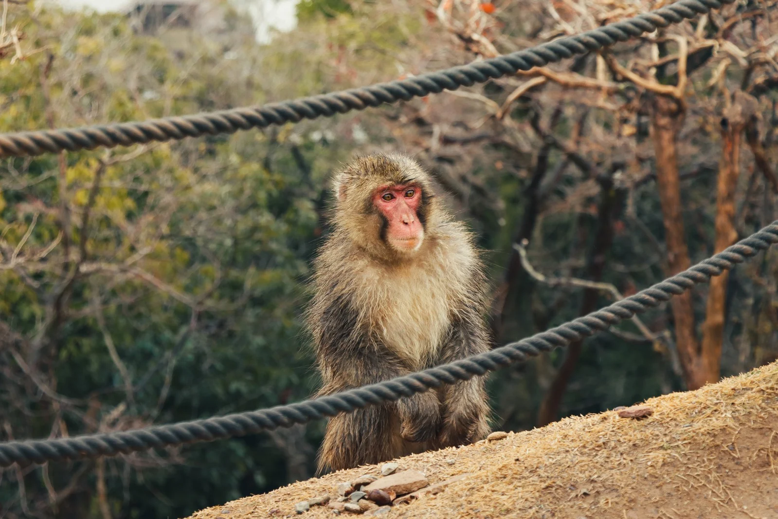 Des histoires à raconter